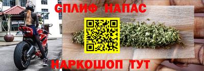 СК Славгород